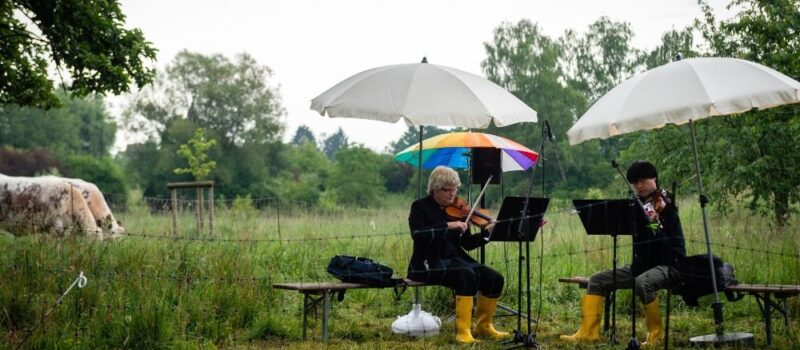 Musiker spielen im Freien unter Regenschirmen bei Konzert der Bodensee Philharmonie