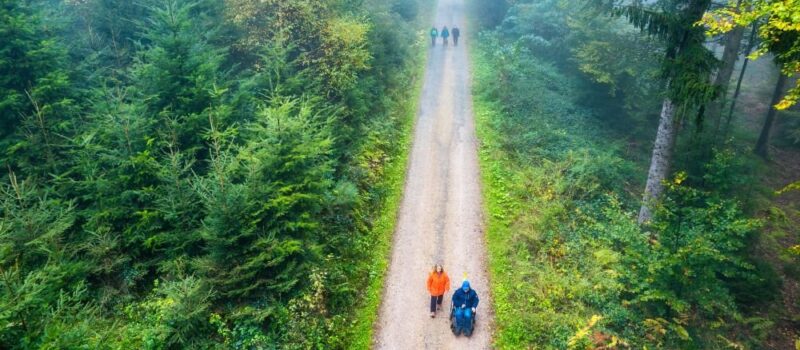 Luftaufnahme eines breiten Waldwegs, auf dem Menschen gemeinsam unterwegs sind