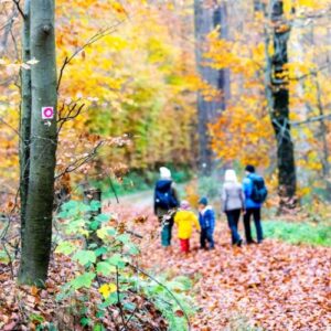 Familie wandert auf einem herbstlichen Waldweg mit buntem Laub