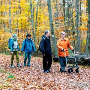Gruppe von Wandernden mit Rollator auf einem barrierearmen Waldweg